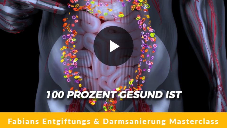 Illustration eines menschlichen Oberkörpers mit Fokus auf den Darm. Der Verdauungstrakt ist als durchscheinendes Organ sichtbar und wird von bunten Mikroorganismen umgeben. In der Mitte steht in weißer Schrift „100 PROZENT GESUND IST“. Unten im Bild steht auf orangefarbenem Balken: „Fabians Entgiftungs & Darmsanierung Masterclass“. Das Bild soll Gesundheit und Darmbalance durch natürliche Entgiftung darstellen.